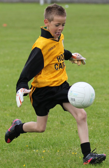 Action from the under 8 blitz in Father Tierney Park.