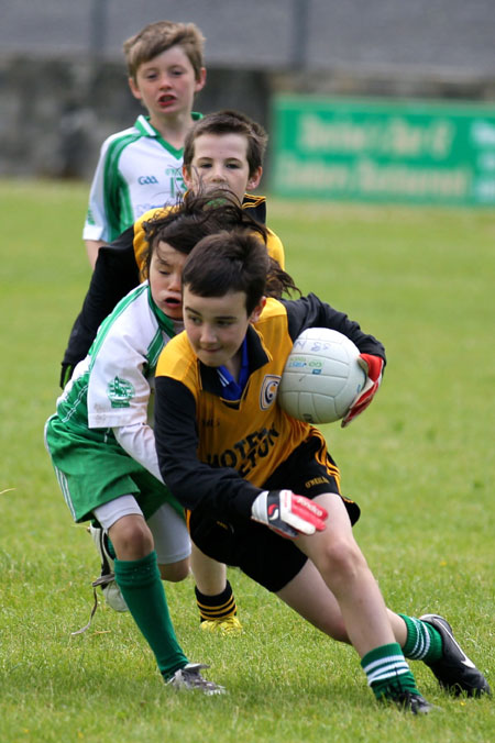 Action from the under 8 blitz in Father Tierney Park.