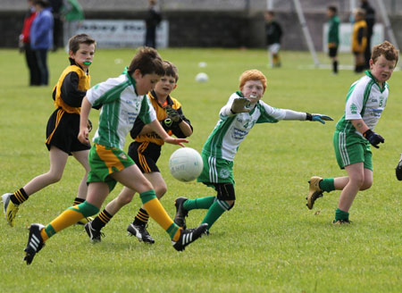 Action from the under 8 blitz in Father Tierney Park.