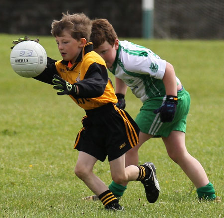 Action from the under 8 blitz in Father Tierney Park.