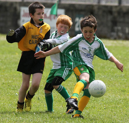 Action from the under 8 blitz in Father Tierney Park.