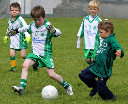 Action from the under 8 blitz in Father Tierney Park.