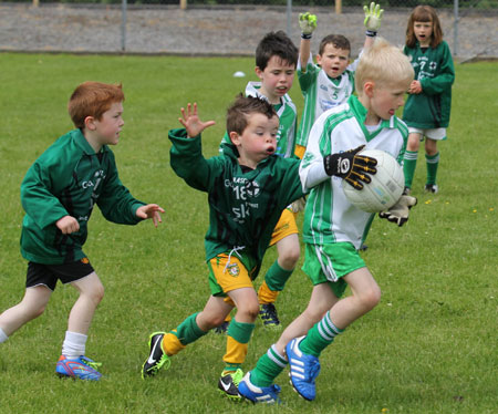 Action from the under 8 blitz in Father Tierney Park.