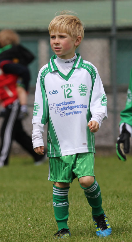 Action from the under 8 blitz in Father Tierney Park.