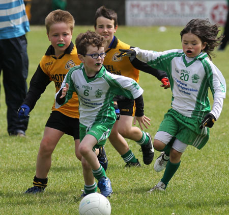 Action from the under 8 blitz in Father Tierney Park.