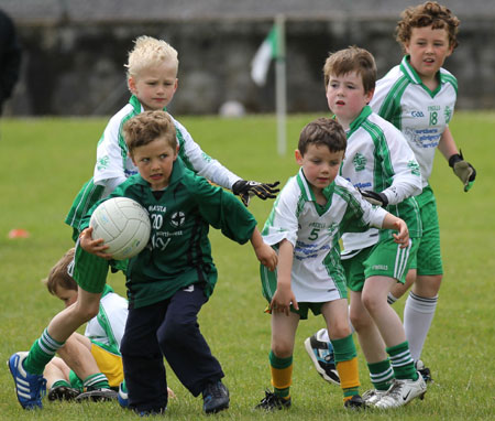 Action from the under 8 blitz in Father Tierney Park.