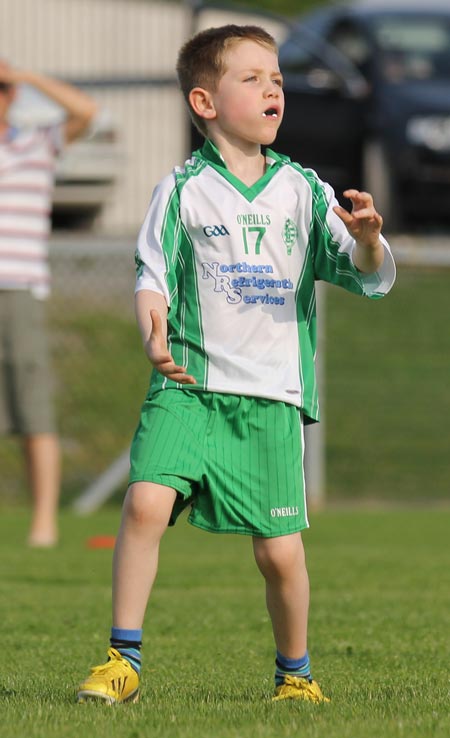 Action from the under 8 blitz in Belleek.