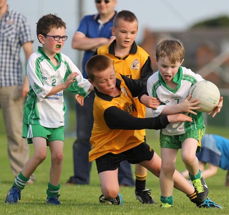 Action from the under 8 blitz in Belleek.