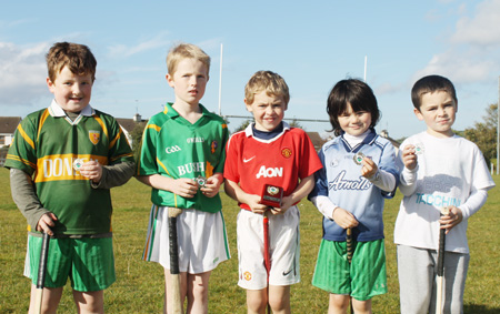 2012 hurling skills award winners.