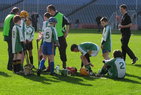 Aodh Ruadh hurlers at Croke Park.