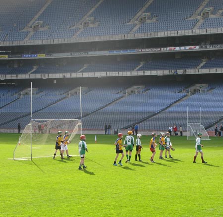 Aodh Ruadh hurlers at Croke Park.