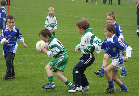 Action from the Aodh Ruadh v Dromore under 8 blitz.