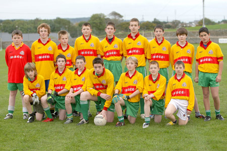 Kevin Keown's team which was runners-up in the 2008 Bakery Cup. Back row: Kevin Warnock, Pauric Patton, Thomas Gillespie, Eamon McGrath, PJ Gillespie, Alan Finan, Johnny Gettins, Matthew Gettins, Fergal Meehan. Front row: Michael Mannion, Patrick Dixon, Michael McNeely, Kieran Keown, Paddy Gillespie, Shane McGrath, Jack Dolan.