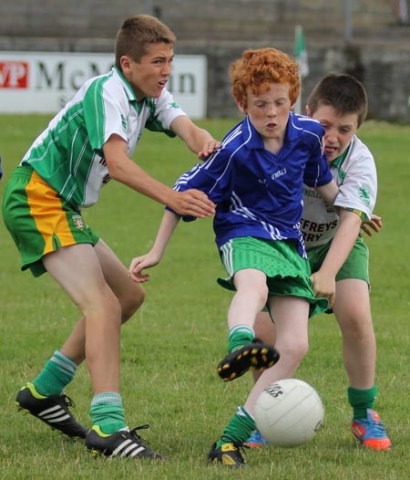 Action from the 2013 Bakery Cup finals day.