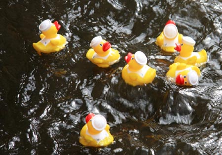 The 2010 Duck Race.