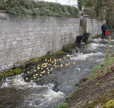 The 2010 Duck Race.