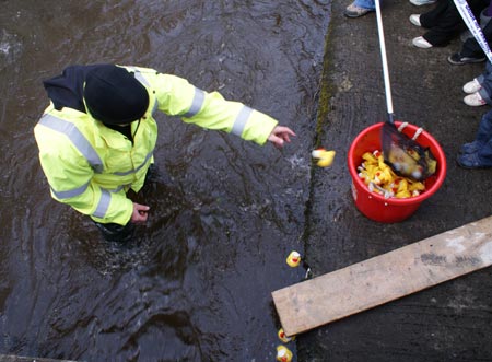 The 2010 Duck Race.