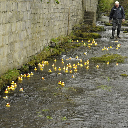 Action from the 2012 Duck Race.