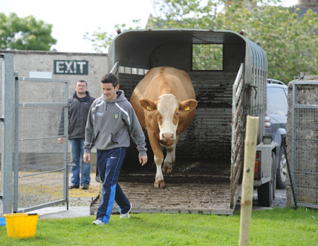 Scenes from Aodh Ruadh family fun day.