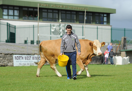 Scenes from Aodh Ruadh family fun day.