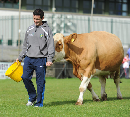 Scenes from Aodh Ruadh family fun day.