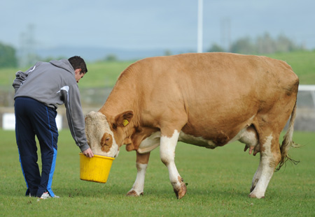 Scenes from Aodh Ruadh family fun day.