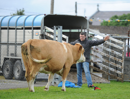 Scenes from Aodh Ruadh family fun day.