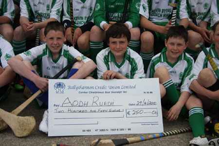 Ballyshannon Credit Union help sponsor Aodh Ruadh.