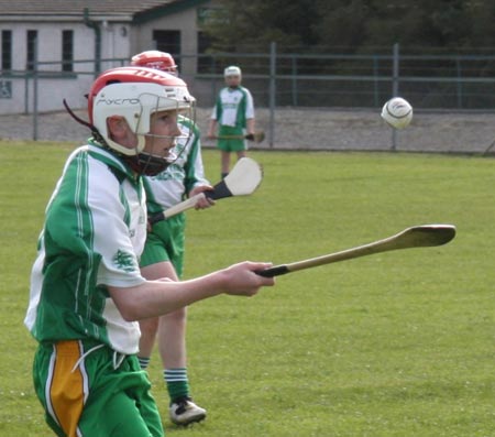 Action from the 2010 county Féile hurling finals.