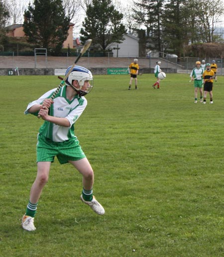 Action from the 2010 county Féile hurling finals.