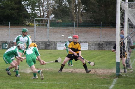 Action from the 2010 county Féile hurling finals.