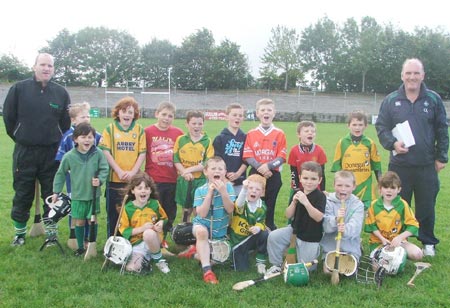 Under 8 hurlers.