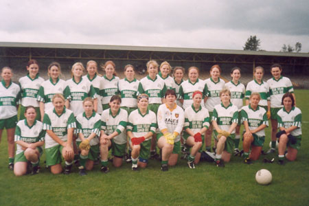 Aodh Ruadh Intermediate County Finalists, 2003.