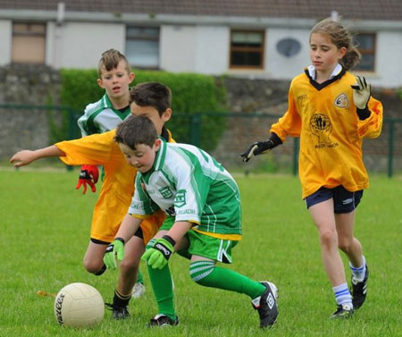 Action from the 2012 Mick Shannon tournament.