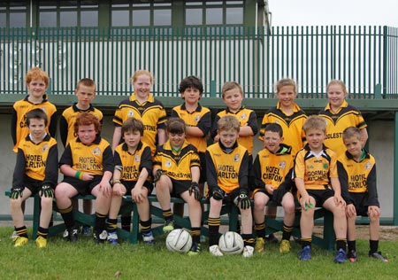 Action from the Mick Shannon Tournament in Father Tierney Park.