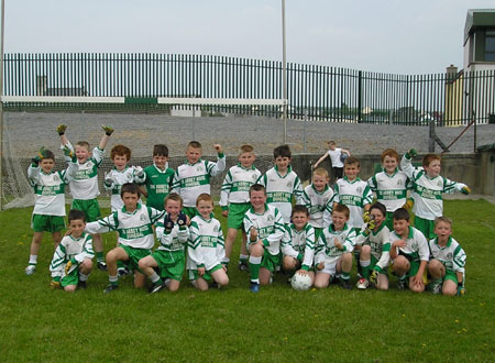 The Aodh Ruadh 'A' team which took part in the Michael Shannon Under 10 tournament in Ballyshannon last Saturday.