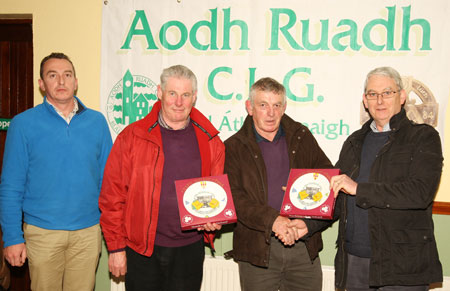 Scenes from turning on of the lights in Pirc Aoidh Ruaidh.
