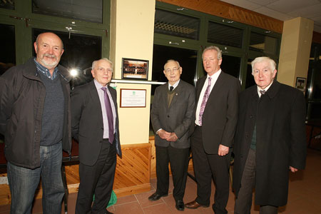 Scenes from turning on of the lights in Pirc Aoidh Ruaidh.