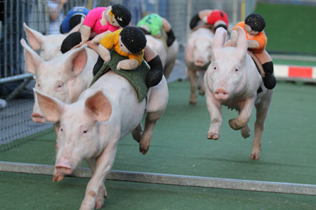 Some shots from the 2011 Ballyshannon pig races.