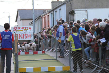 Some shots from the 2011 Ballyshannon pig races.