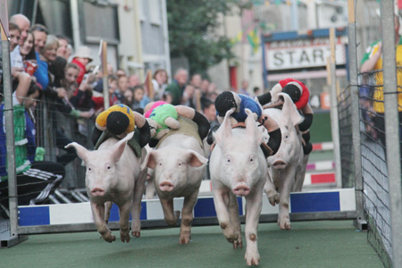 Some shots from the 2011 Ballyshannon pig races.