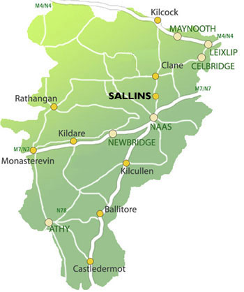 Sallins location