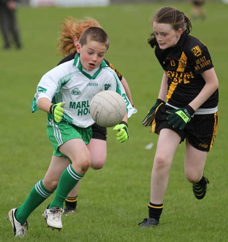 Action from the 2011 Willie Rogers Tournament.