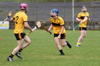 2025 Hurlers v St Eunans - 67 of 190
